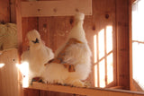 Hen Protector - Ruffle Marigold