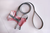 top view of chicken harness