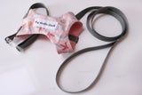 Chicken Harness Early Bird