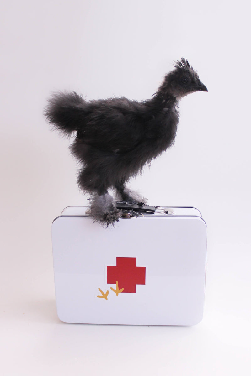 Chicken Emergency Kit