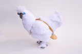 chicken diaper on a chicken