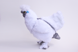 chicken diaper on a chicken