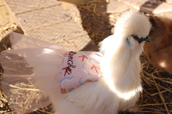 Meet Blanche — Our Bearded Silkie
